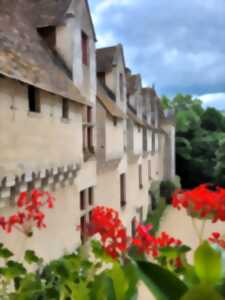 Visite du Château