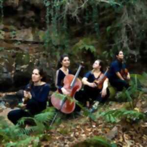 photo FESTIVAL AUTOUR DU QUATUOR : DUO – QUATUOR -QUINTETTE