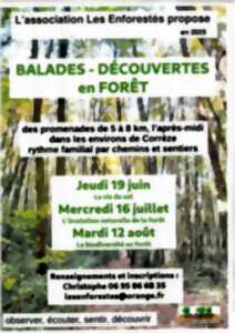 photo Balades