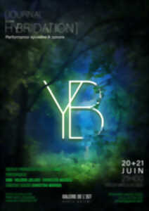 YB - Journal d'une hybridation