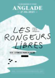 Les sons migratoires de l'Estuaire à Anglade