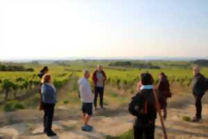 photo VENDREDIS GOLDEN HOUR AU DOMAINE
