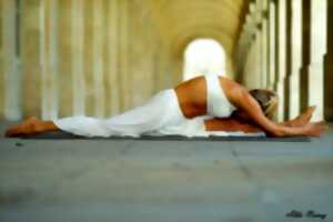 photo Yoga aérien & Vinyasa flow athlétique