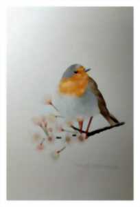 photo Exposition Aquarelles Animalières - Bernard Teboul