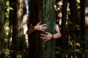 photo Dans ces bois
