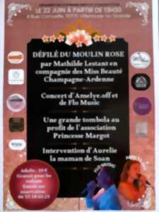 Défilé du Moulin Rose à Villenauxe-la-Grande