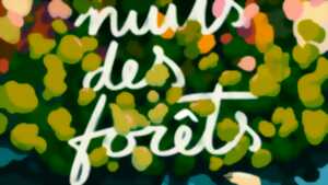 Les Nuits des Forêts - Balade