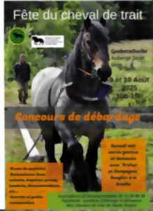 photo Fête du cheval et concours de débardage