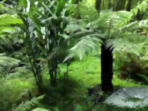 photo Rendez-vous aux jardins, au jardin d'Ombreau