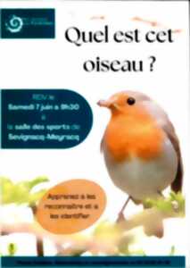 photo Quel est cet oiseau ?