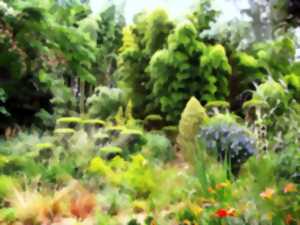 photo Rendez-vous aux jardins | Plan Buisson