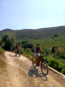 photo BALADE OENOTOURISTIQUE VTT DANS LES VIGNES DE COLLIOURE