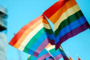 photo LA JOURNÉE DES FIERTÉS - 1ER SALON DU LIVRE LGBT+