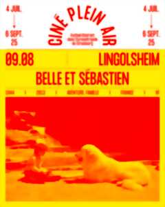 photo Ciné plein air - BELLE ET SEBASTIEN