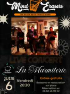 CONCERT LES MIND ERASERS