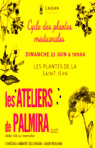 photo LES ATELIERS DE PALMIRA - LES PLANTES DE LA SAINT-JEAN