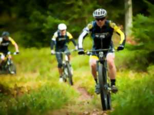 photo Elsass'Bike