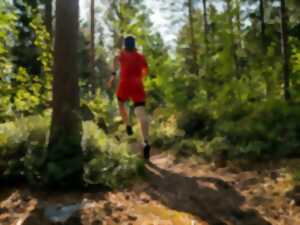 photo Trail du Fleckenstein
