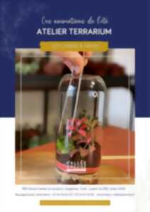 photo Atelier Terrarium