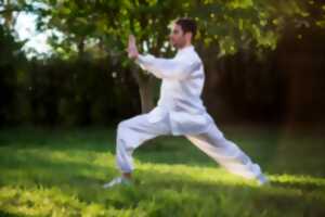 photo Stage de QI GONG à la journée