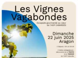 photo LES VIGNES VAGABONDES - ESCAPADE GOURMANDE