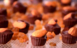 photo Atelier mendiants en chocolat