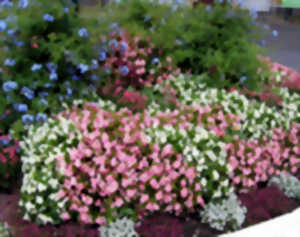 photo Rendez-vous au jardin : jardin Hortense