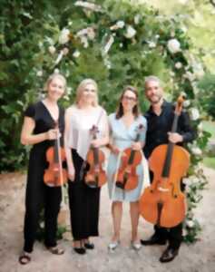 photo Concert classique : Orchestre symphonique et trio à cordes