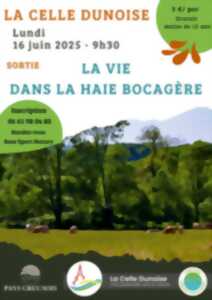 photo La vie dans la haie bocagère