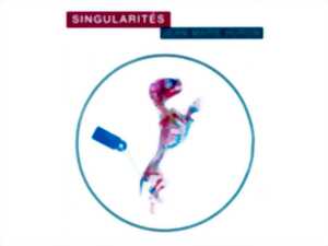 photo EXPO - Singularités