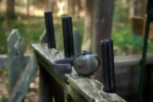 photo Ball-Trap