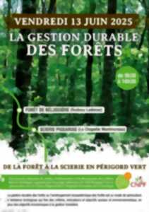 photo Gestion durable des forêts