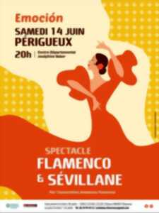 photo Andaluna Flamenca