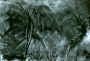 photo Art en Estuaire
