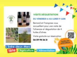 photo Fête de l'agriculture et de l'Alimentation: Visite dégustation de l'Oliveraie d'Aillas