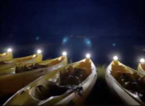 photo Nocturne en canoë