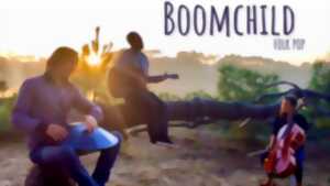 photo Concert et ateliers avec Boomchild