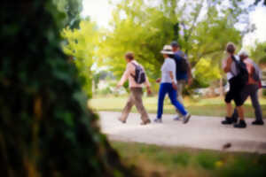 photo Marche découverte de l'environnement à Gastes