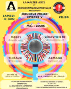 photo Bonjour Micro Episode V chez Maltes'art