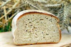 photo Partage du pain et du fromage