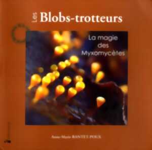photo Conférence « La magie des Myxomycètes »