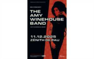 photo The Amy Winehouse Band