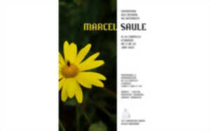 photo Exposition des dessins du botaniste Marcel Saule