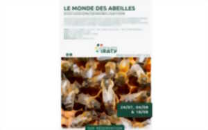 photo Sensibilisation sur monde des abeilles