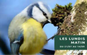 photo Les oiseaux d'Iraty