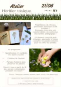 photo Atelier Herbier Toxique