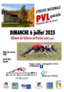 photo Courses de lévriers