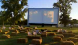 photo Ciné Plein Air - Boisseuil