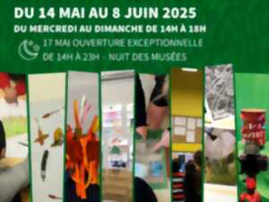 photo Exposition - artistes en herbe