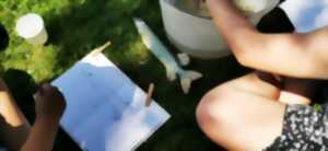 photo Balade nature et initiation au dessin